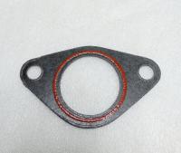 Прокладка впускного коллектора BMW E39/E36  Elwis royal 0215450