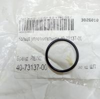 Уплотнительное кольцо клапана фаз ГРМ Х5 Е70  Reinz 40-73137-00