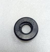 Прокладка болта BMW E39/E46  Reinz 70-33388-00